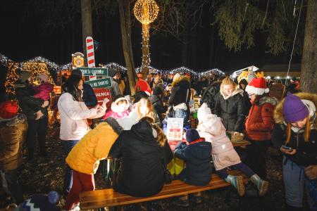 Božiček in žive jaslice (119)